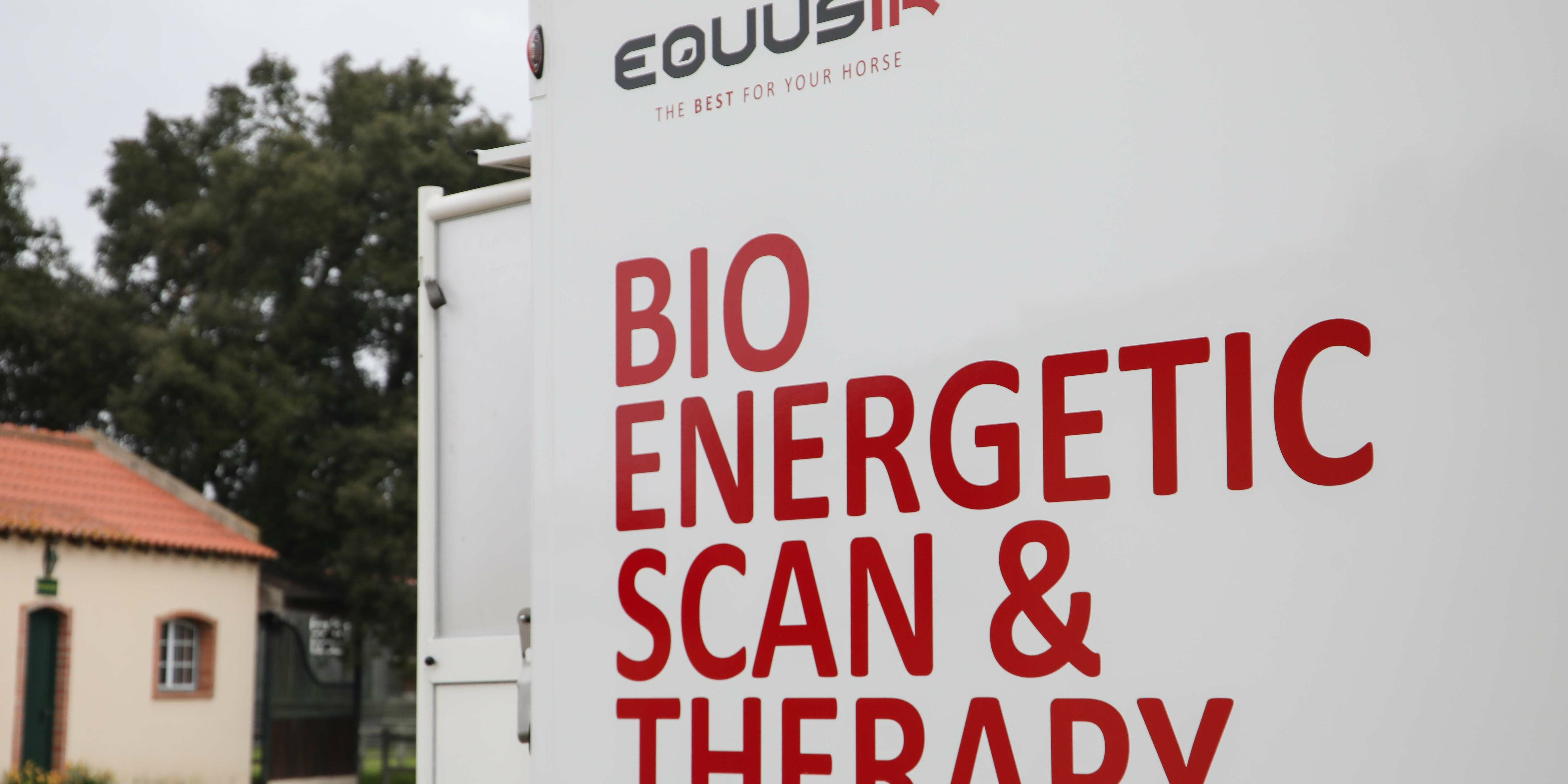 Equusir Best Box Bio Energetic Scan & Therapy